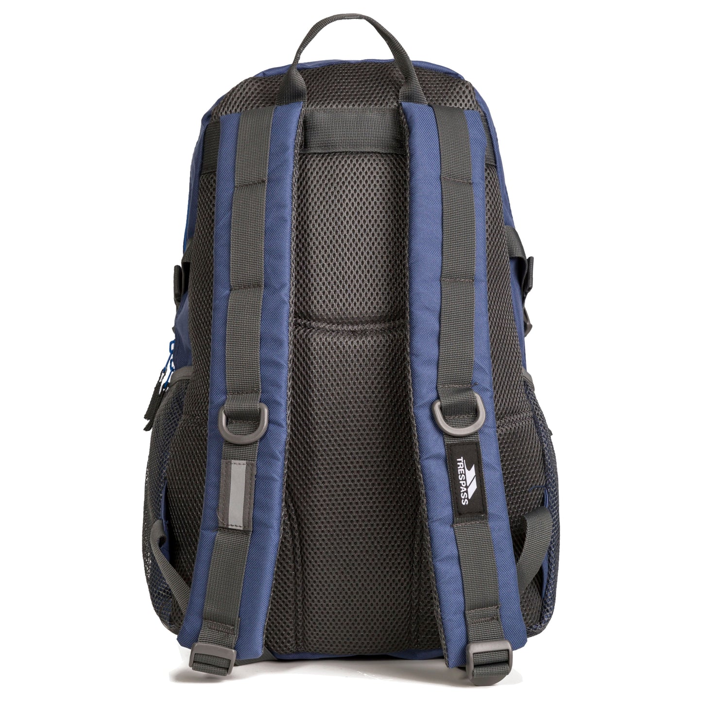 Albus 30 Litre Backpack in Navy and Electric Blue