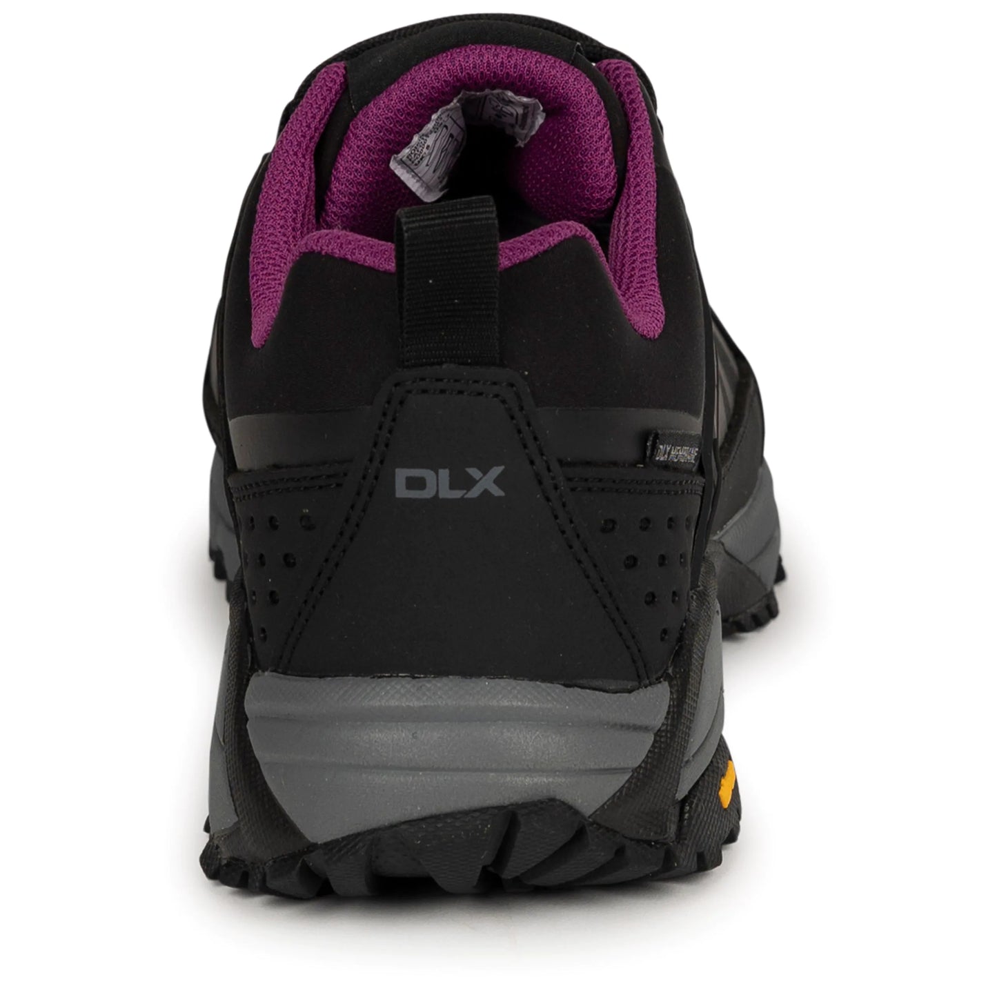 Roisin Women's DLX Hiking Trainers in Black