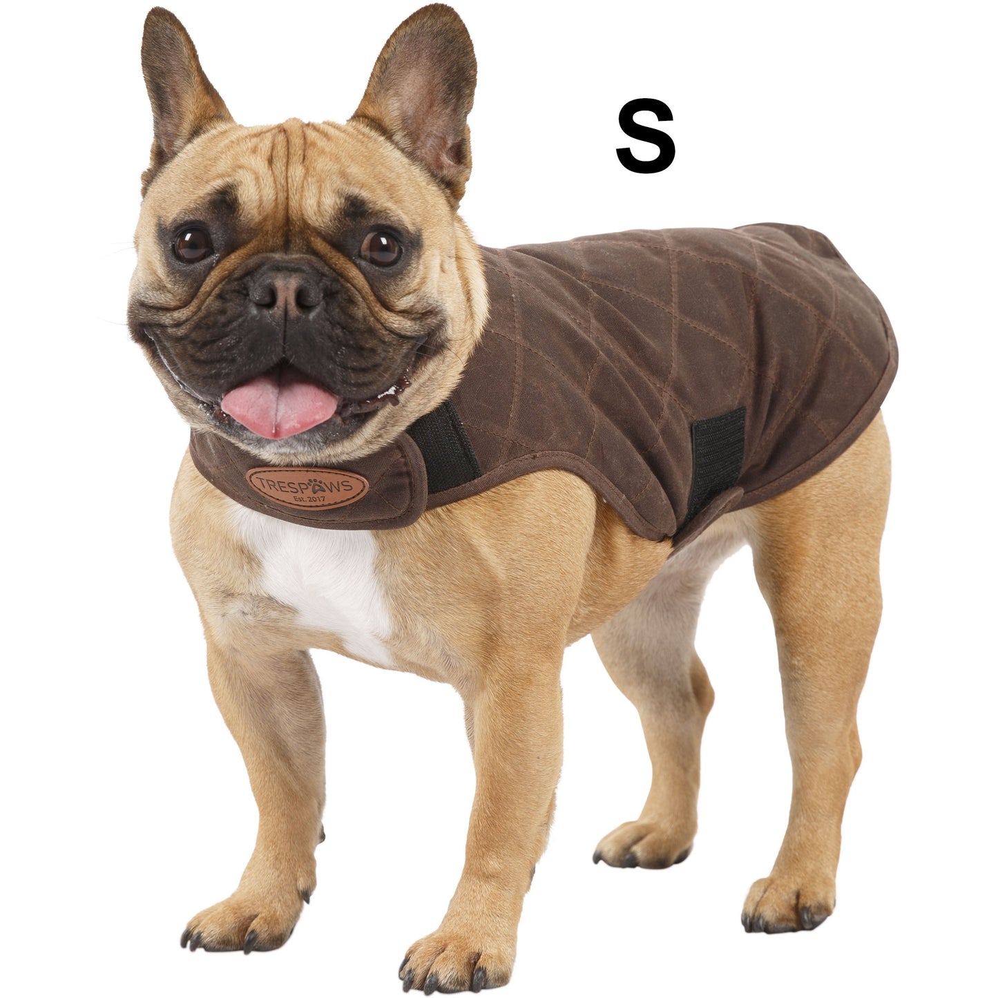 Artemis Waxed Quilted Water Resistant Dog Jacket