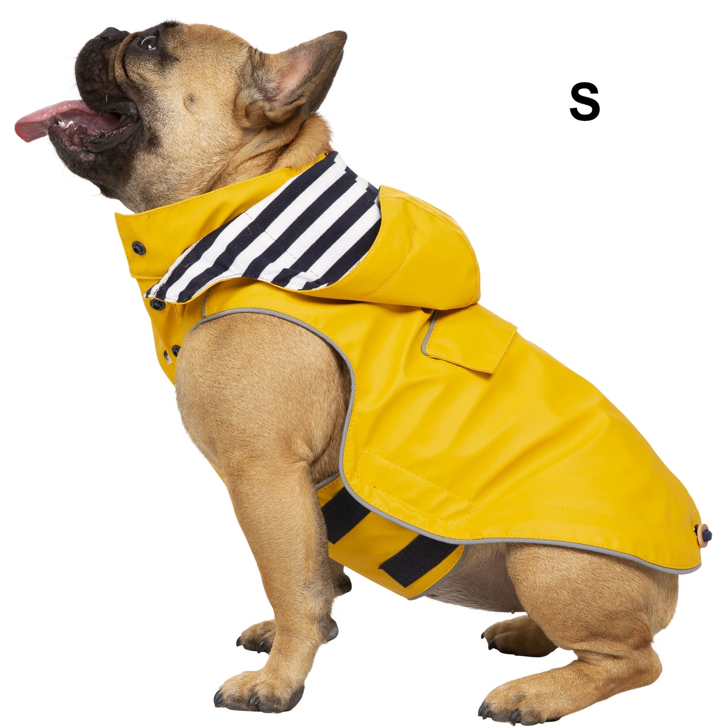 Seadog Dog Raincoat in Sunshine Yellow