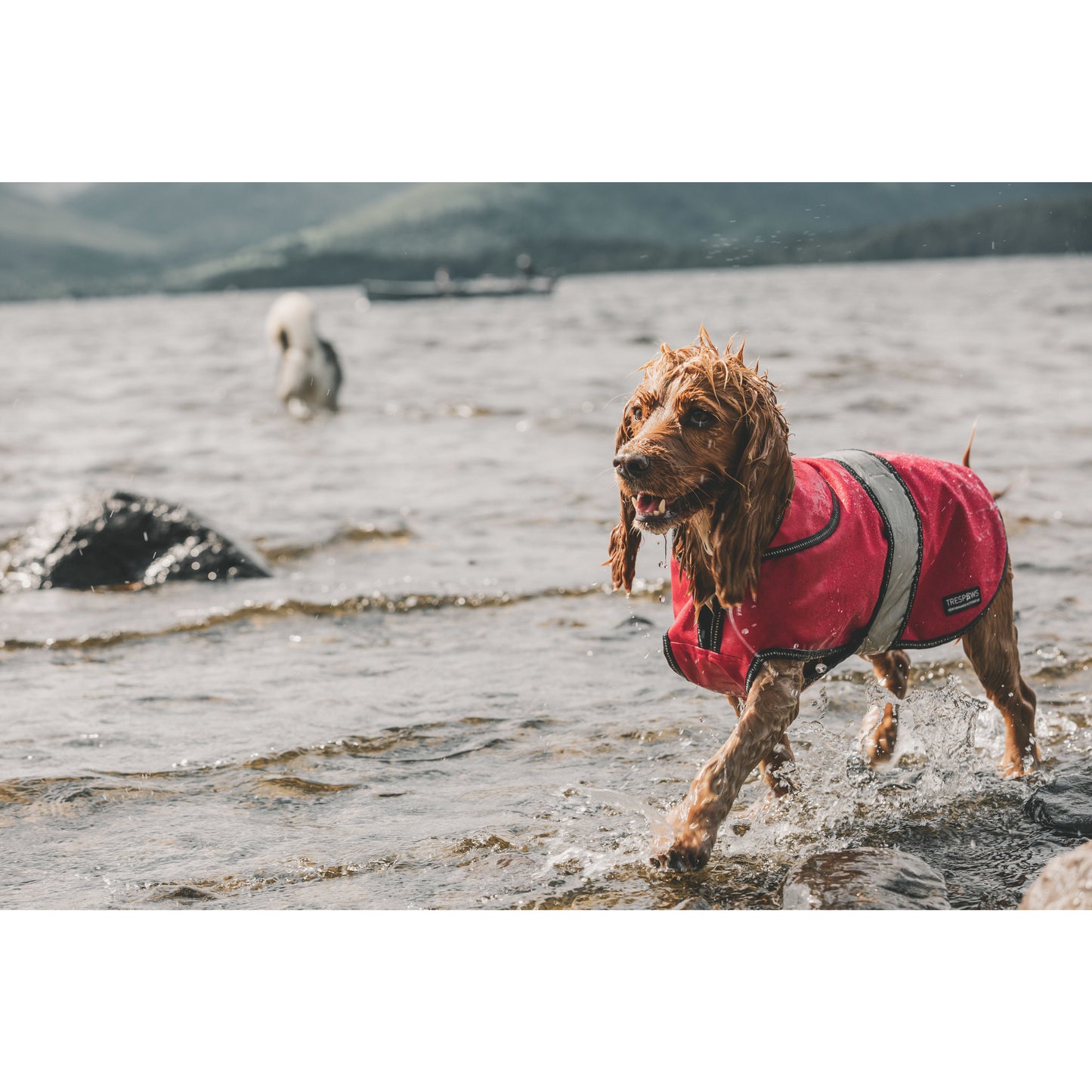 Duke-X 2 In 1 Waterproof Dog Jacket With Inner Fleece