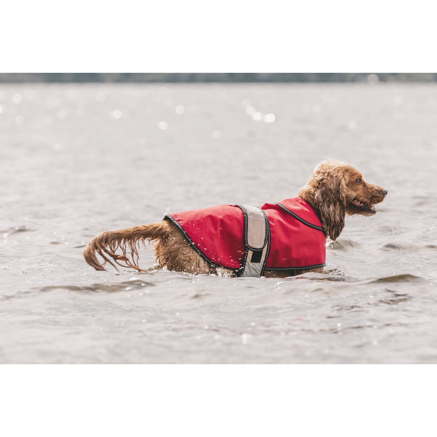 Duke-X 2 In 1 Waterproof Dog Jacket With Inner Fleece