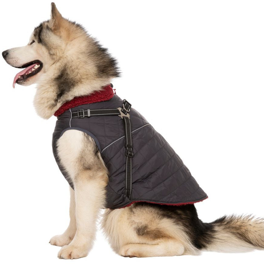 Hercules - Windproof 2 In 1 Dog Jacket With Harness