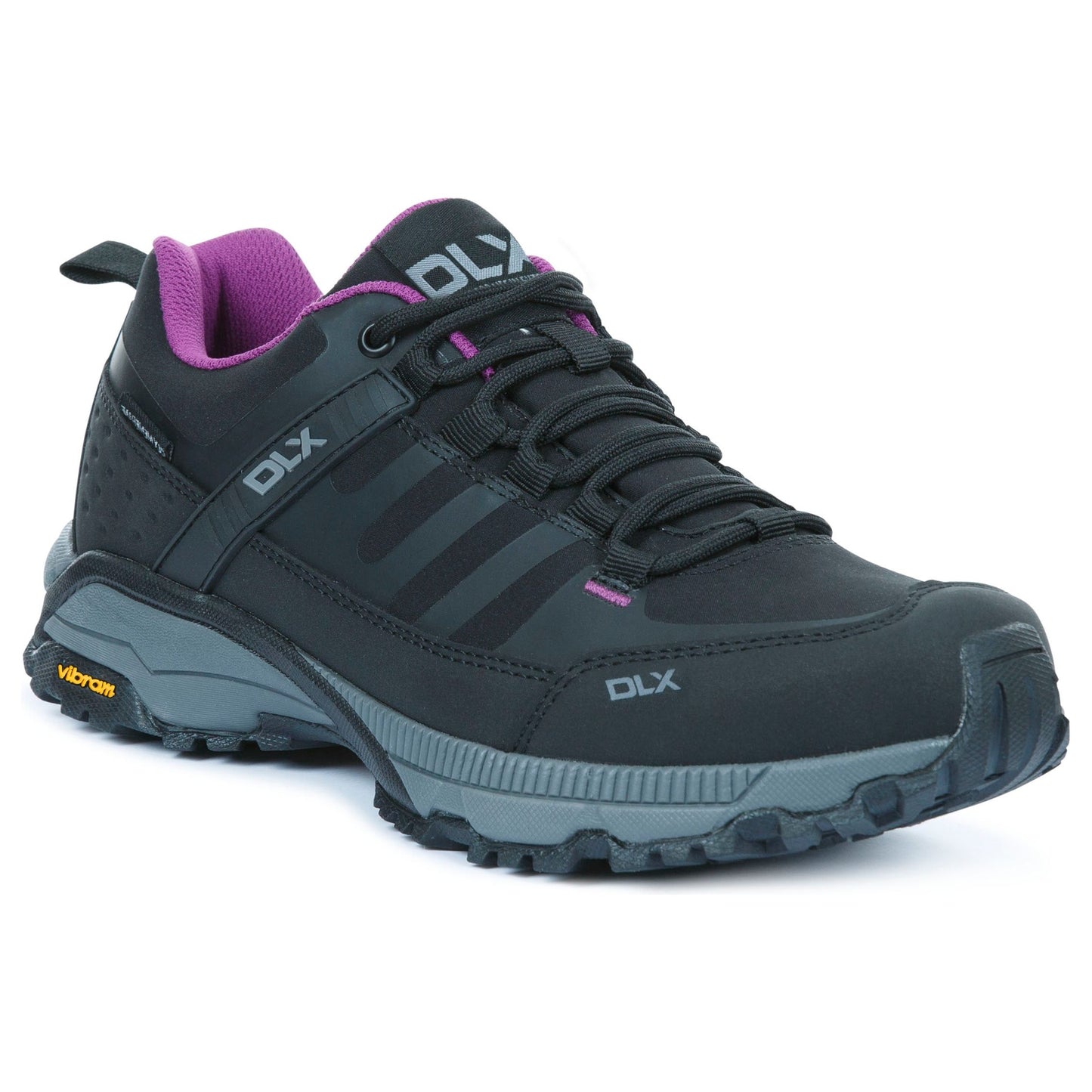 Roisin Women's DLX Hiking Trainers in Black