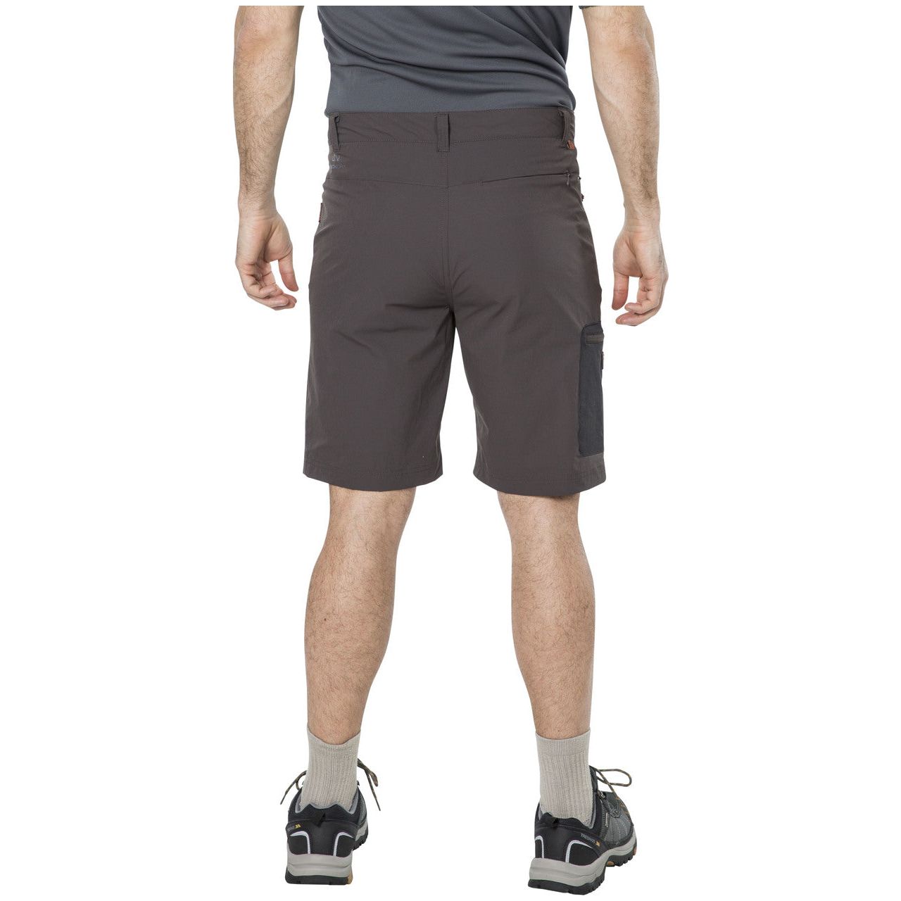 Runnel Men's Cargo Shorts in Peat