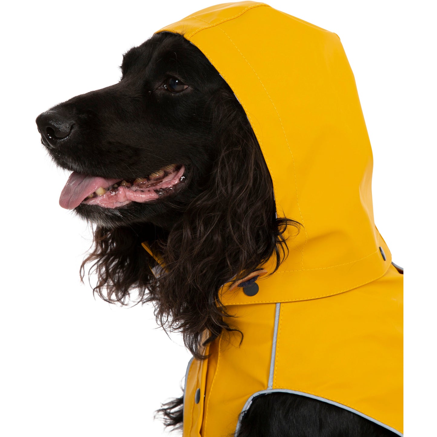 Seadog Dog Raincoat in Sunshine Yellow