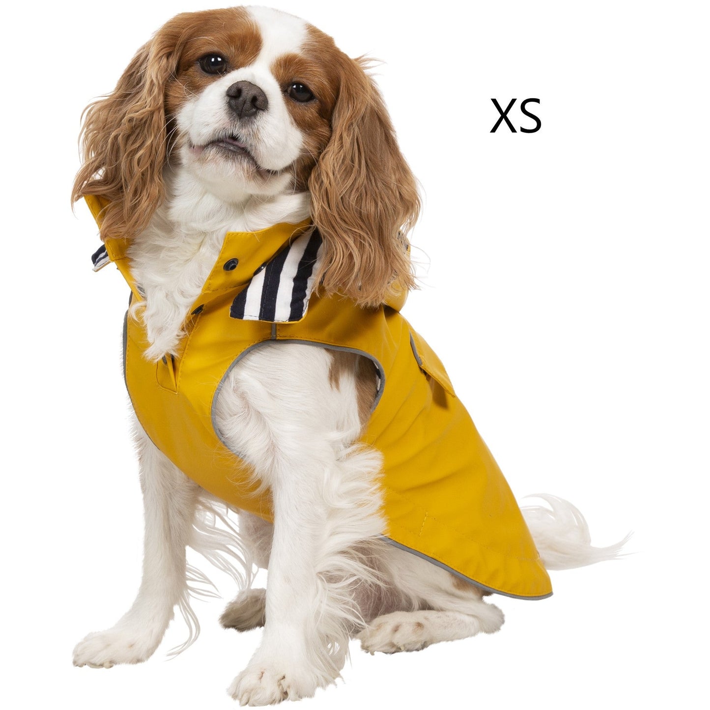 Seadog Dog Raincoat in Sunshine Yellow