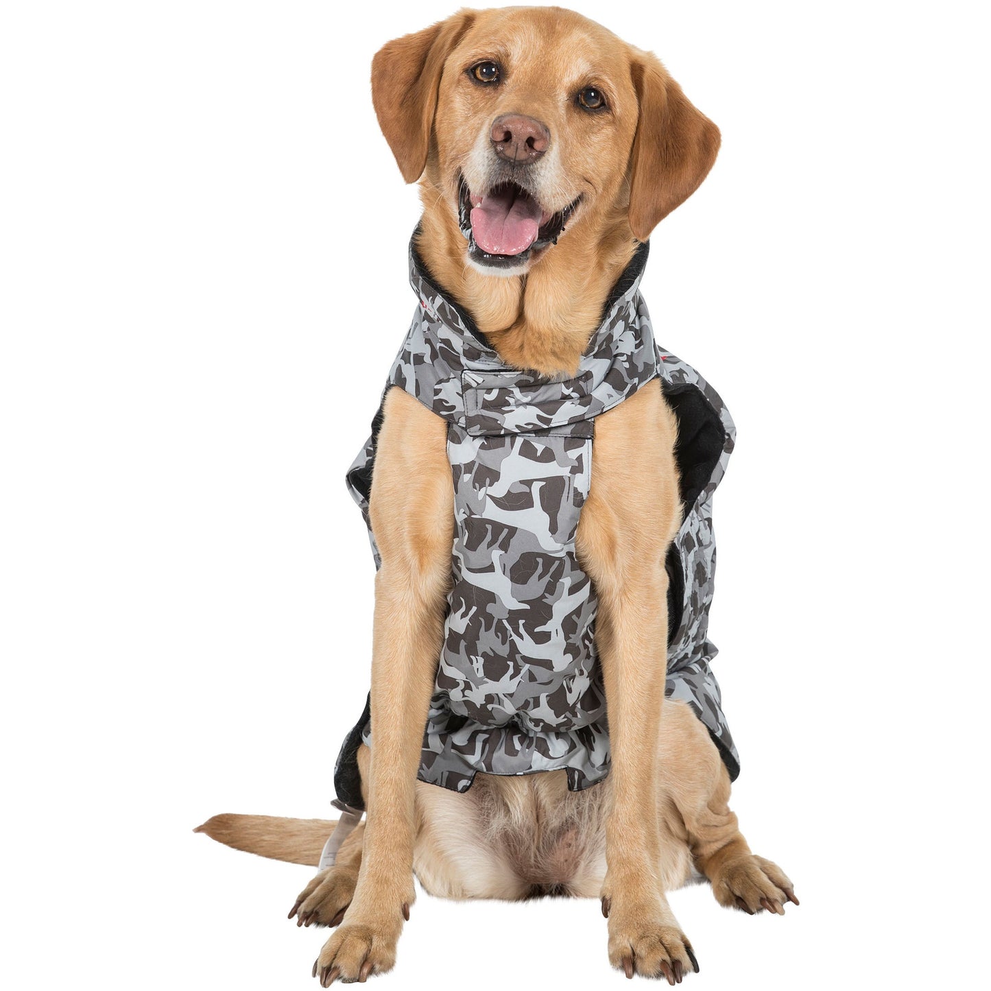 Charly Printed Waterproof Dog Coat in Camo Style