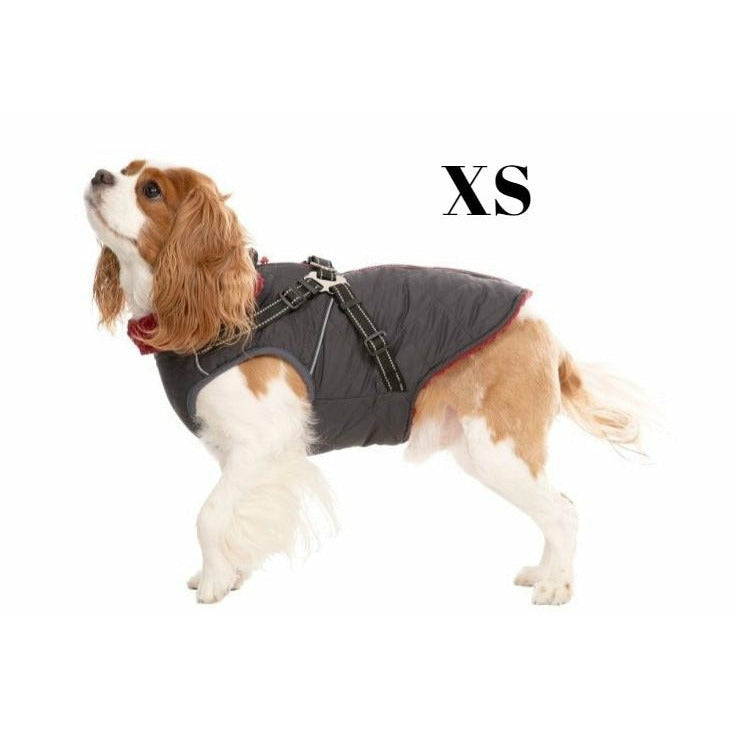 Dog hot sale jackets ireland