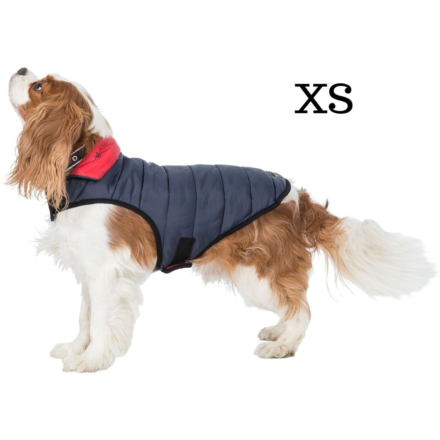 Kimmi Quilted Reversible Packaway Dog Coat - Flint