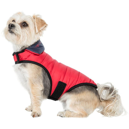 Kimmi Quilted Reversible Packaway Dog Coat - Flint
