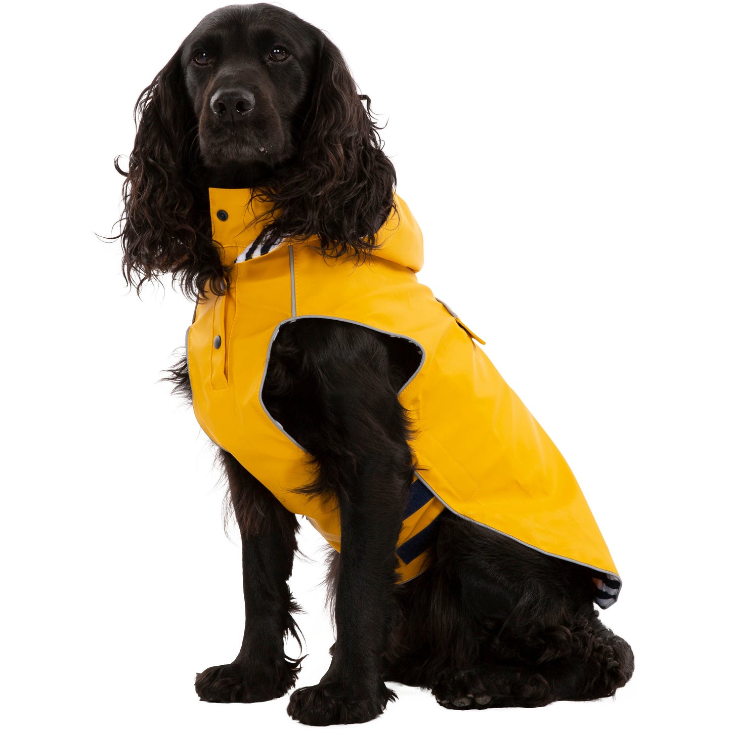 Seadog Dog Raincoat in Sunshine Yellow