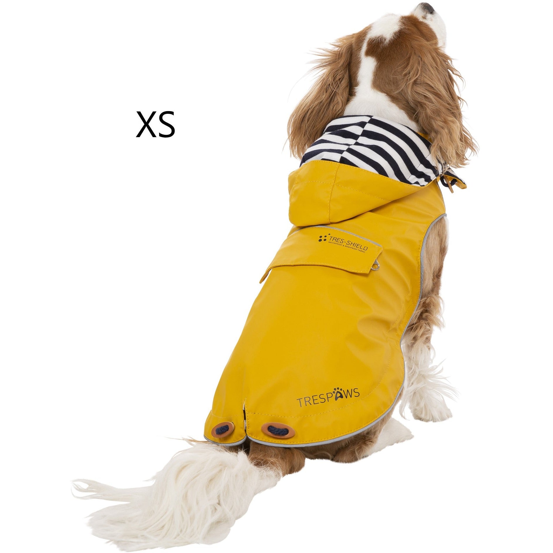 Dog in deals yellow raincoat