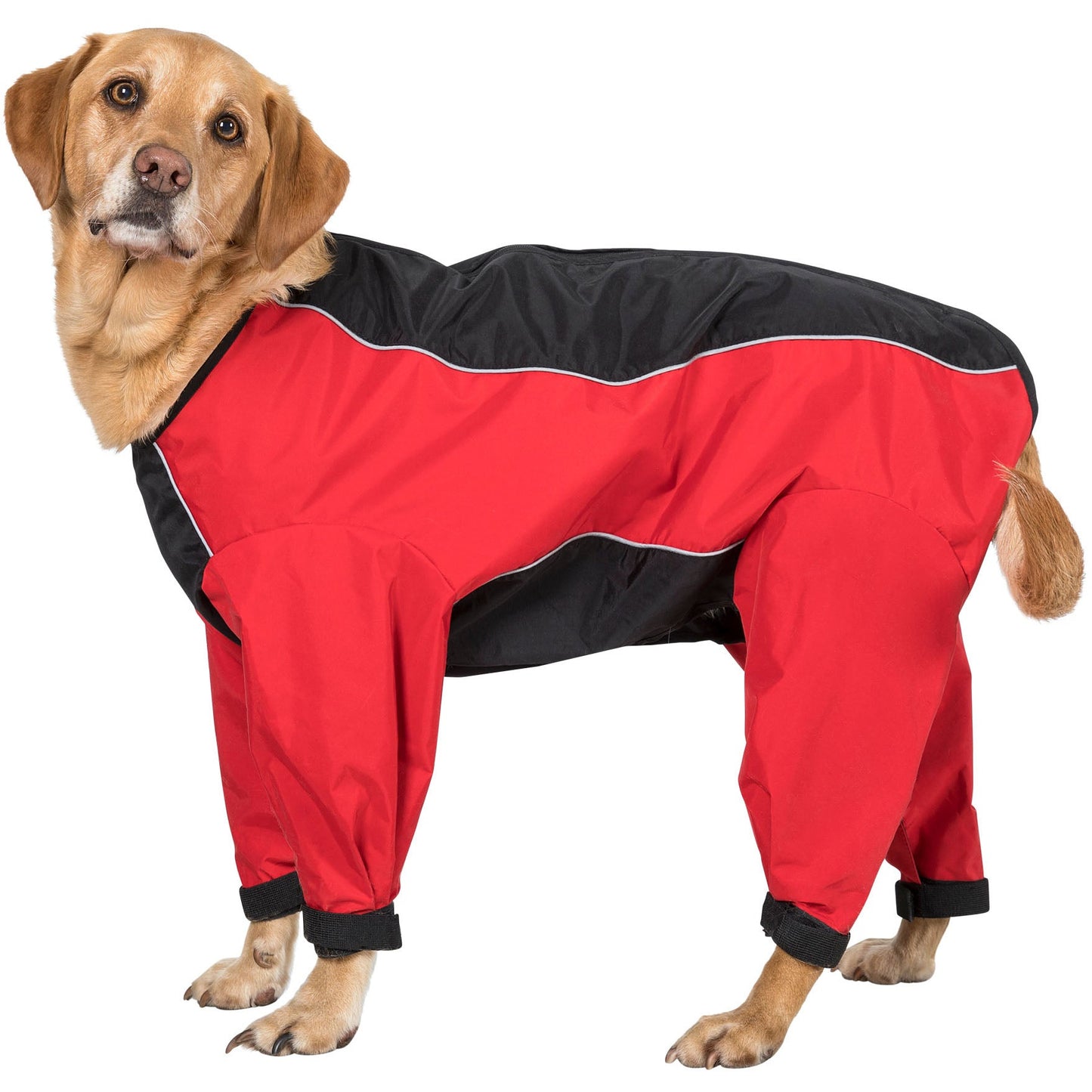 Tia - Dog Coat With Legs